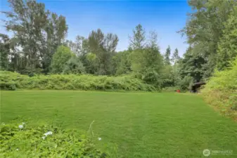 Lower Field looking toward Barn
