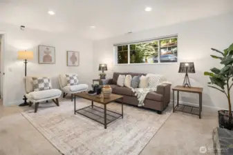 Lower living room