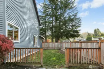 Side yard perfect for an outdoor pet area. Maybe a chicken coop? Perhaps a garden? The yard is your oyster.