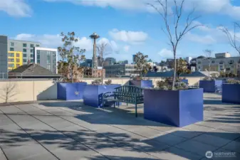 Come home to Tribeca! Space needle news await you from the sunny rooftop deck.