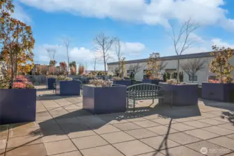 The rooftop deck is a great space to unwind or gather with friends.