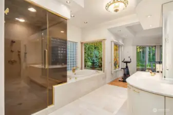 primary bath also includes walk in shower, soaking tub, sauna & workout room