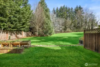 Backyard 1