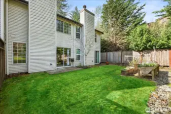 Backyard 3