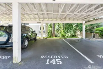 Reserved parking spot 145 & 67