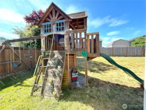Big toy in backyard