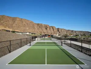 Pickleball Courts