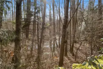 Residents enjoy a quiet, established neighborhood atmosphere.