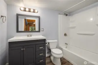 Lower Floor Bathroom