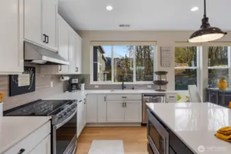 Upgraded Stainless Appliances