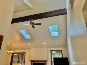 The skylights in the living room allow the home to be filled with light!