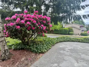 Curving driveway leads to the home...