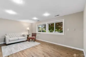 Lower Living Room