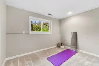 Lower Bedroom
