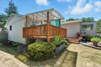 Back yard