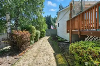 North Side Yard