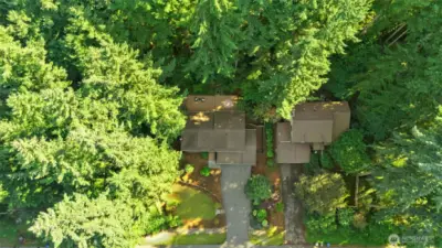 Large Lot w/Privacy on a dead end street.