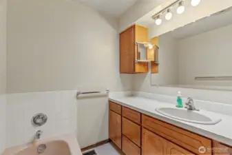 Bathroom (main floor)