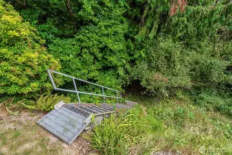 Backyard - stairs to lower landing (apple and large magnolia trees)