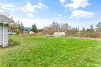 Huge backyard!