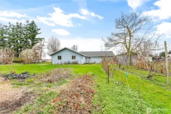 Fruit trees, plants abundant