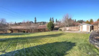 Another angle of the spacious backyard, highlighting its lush greenery.