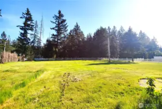 Front yard