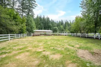 Large Grassy Space for Horses