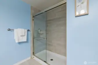 Large walk-in shower located in the primary bthroom.