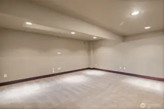 Large rec room with no windows. Would make a great theatre room, library, study area, workout area, or man/she cave.