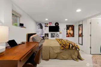 Lower level bedroom