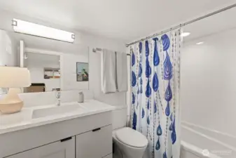 Lower level full bathroom