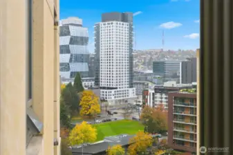 Views of Denny Park and Queen Anne Hill