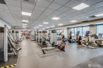 Large Well Equipped Fitness Center