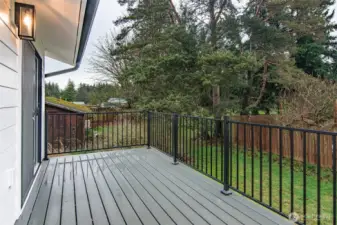 Deck on back of house