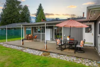 Backyard