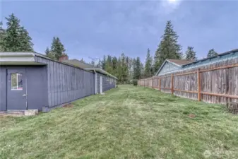 Here is a look at the back yard