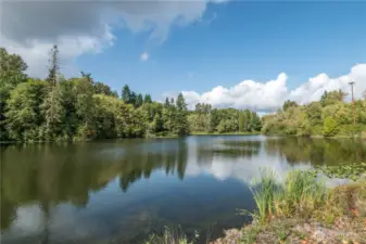 The view from the bank of Dorothy Lake.