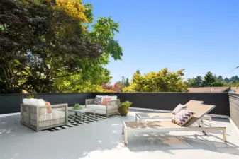 Large rooftop deck space