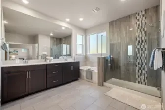 Stunning primary bathroom --