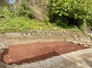 Perfect Spot Next To The Driveway To Put Some Garden Beds And Grow Your Own Veggies