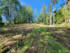 Recently cleared view from driveway