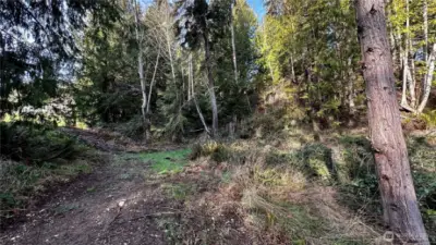 End of driveway/back of property