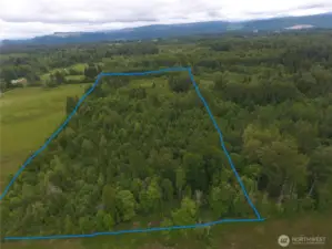 Lines are approximate