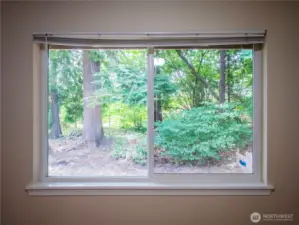 RELAXING BACKYARD OUT BEDROOM WINDOW OF 1433