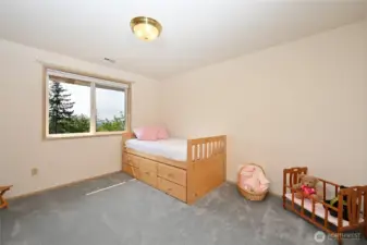 2nd bedroom looks out to the backyard territorial view