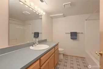 Lower level full bath