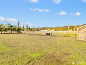 1 of 5 fully fenced pastures