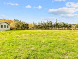 Mature landscape creates privacy surrounding the home