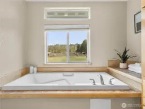 Oversized soaking tub overlooking the backyard